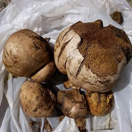 Monolocale Delux, Nel Centro Storico Ed A Pochi Passi Dal Mare Condofuri Marina