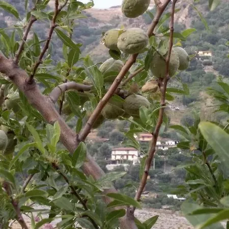 B&B Monolocale Delux, Nel Centro Storico Ed A Pochi Passi Dal Mare