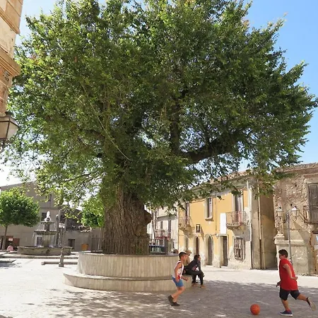 Monolocale Delux, Nel Centro Storico Ed A Pochi Passi Dal Mare